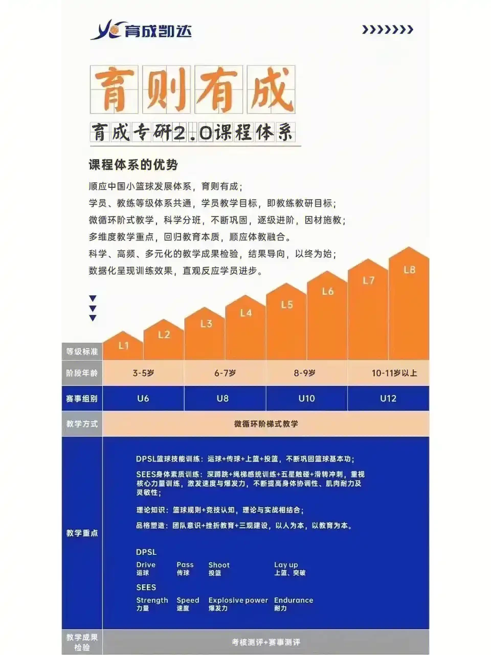 篮球训练法读后感怎么写_0